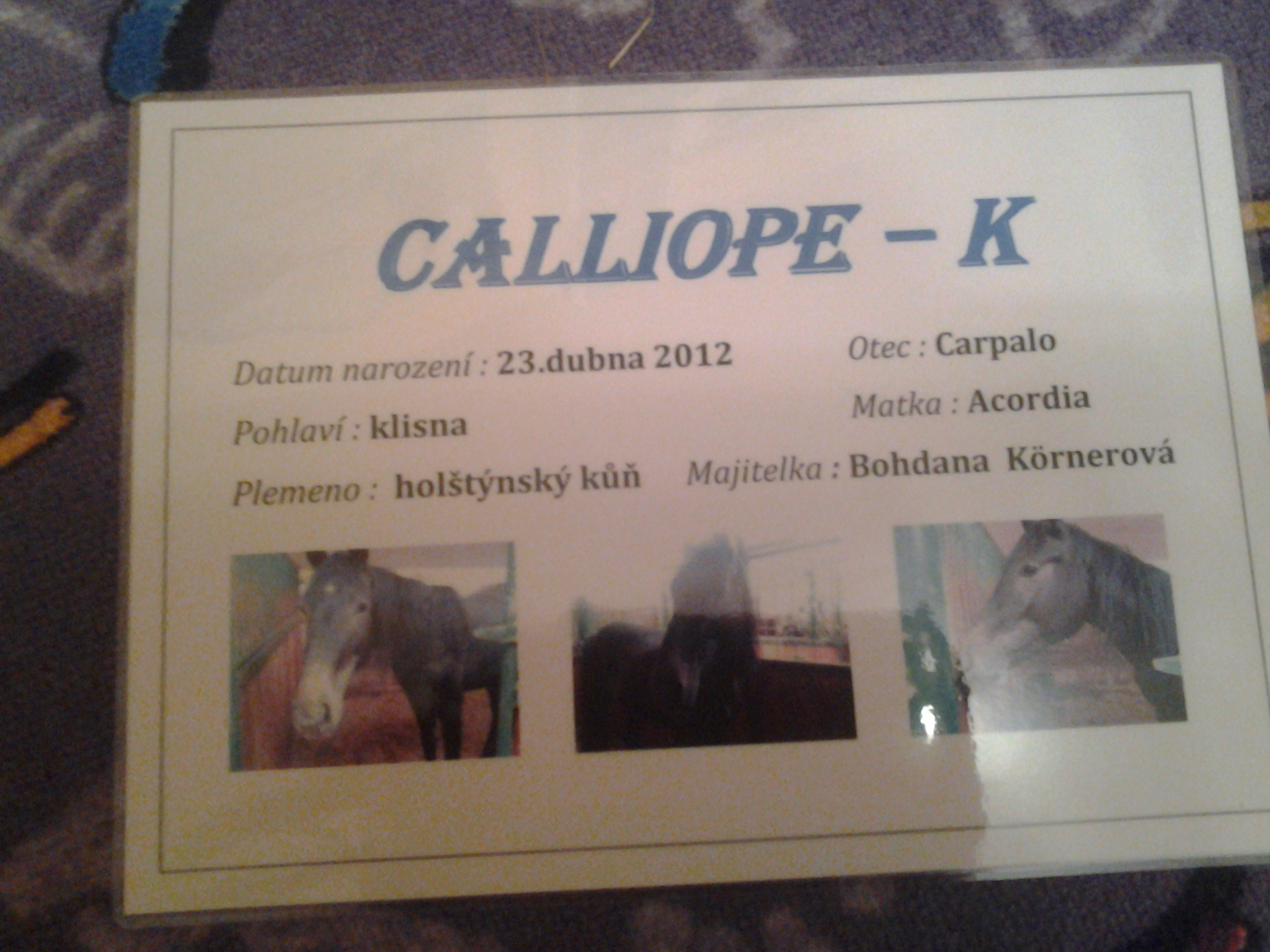 Cedulka na Calliopčin box 1 